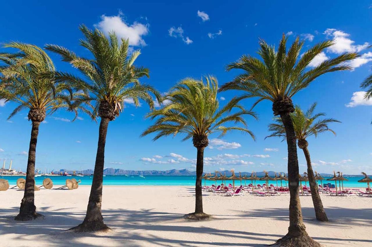 Apartment The Shell Ii, Beach Views And Pool Alcudia  Exterior foto